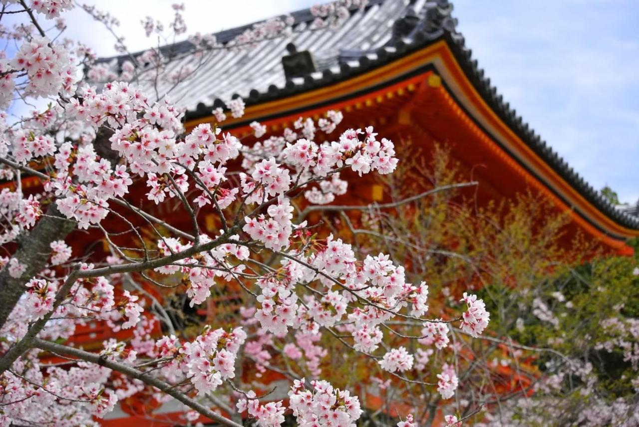 Stay Sakura Kyoto Gion North Экстерьер фото